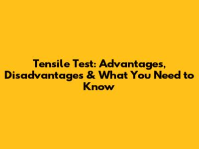 Tensile Test: Advantages, Disadvantages & What You Need to Know