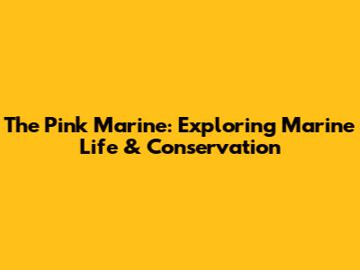 The Pink Marine: Exploring Marine Life & Conservation