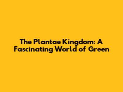 The Plantae Kingdom: A Fascinating World of Green