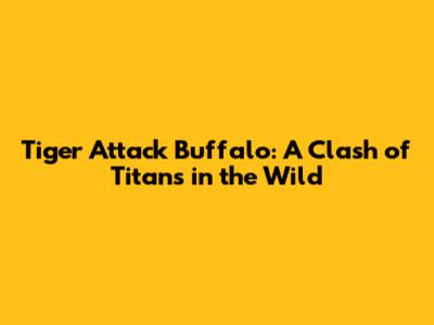 Tiger Attack Buffalo: A Clash of Titans in the Wild