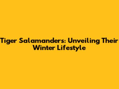 Tiger Salamanders: Unveiling Their Winter Lifestyle