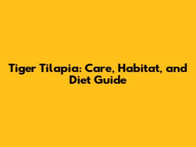 Tiger Tilapia: Care, Habitat, and Diet Guide