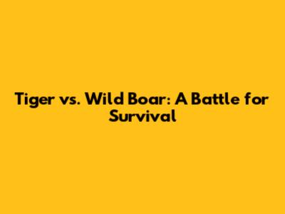 Tiger vs. Wild Boar: A Battle for Survival