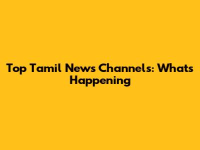 Top Tamil News Channels: What's Happening