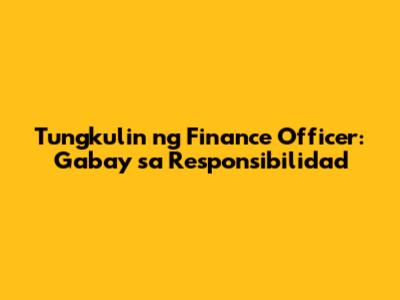 Tungkulin ng Finance Officer: Gabay sa Responsibilidad