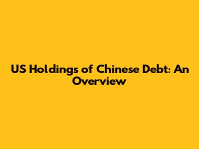 US Holdings of Chinese Debt: An Overview