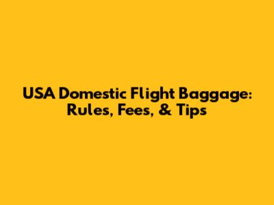 USA Domestic Flight Baggage: Rules, Fees, & Tips