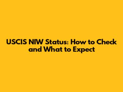 USCIS NIW Status: How to Check and What to Expect