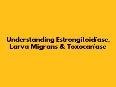 Understanding Estrongiloidíase, Larva Migrans & Toxocaríase