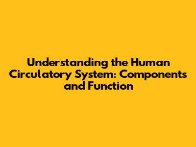 Understanding the Human Circulatory System: Components and Function
