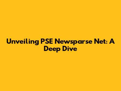 Unveiling PSE Newsparse Net: A Deep Dive