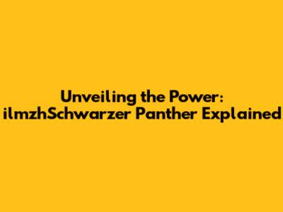 Unveiling the Power: ilmzhSchwarzer Panther Explained