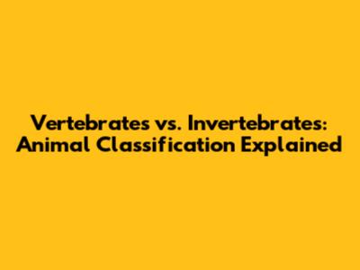 Vertebrates vs. Invertebrates: Animal Classification Explained