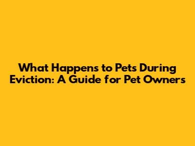 What Happens to Pets During Eviction: A Guide for Pet Owners