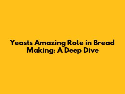 Yeast's Amazing Role in Bread Making: A Deep Dive