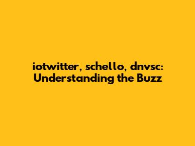 iotwitter, schello, dnvsc: Understanding the Buzz